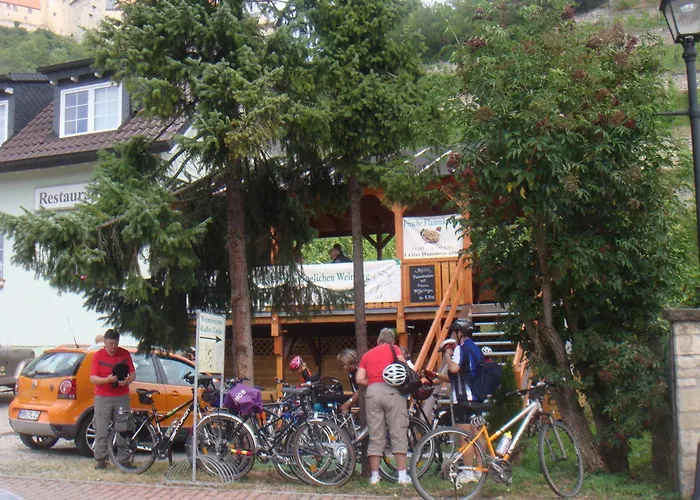 Haustierfreundliches Hotel: Hotel am Weinberg